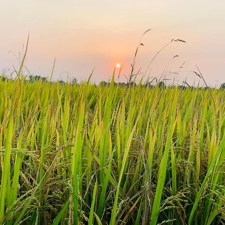 Cu Chi Boutique Countryside